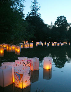 Lantern Festival